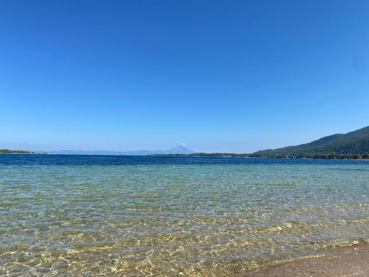 Casa Del Mare Case de vacanță *